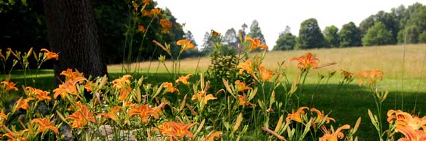 maudslay-meadow